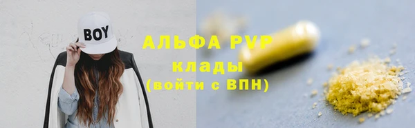 хмурый Абаза