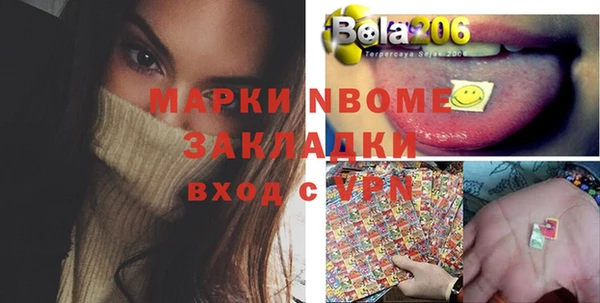 хмурый Абаза
