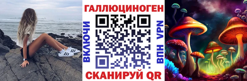 Псилоцибиновые грибы мицелий Александров