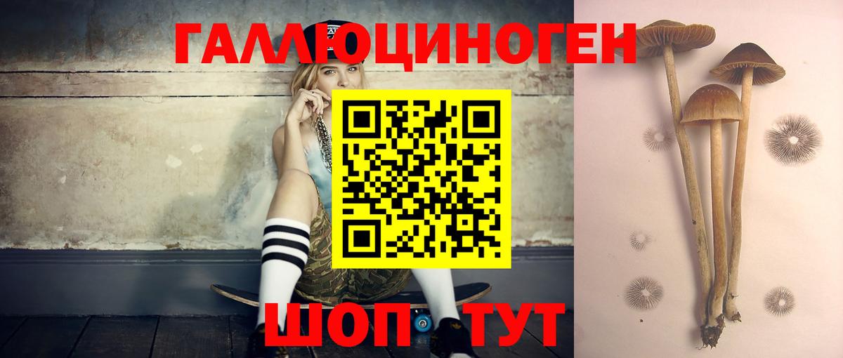 Александров  Псилоцибиновые грибы мицелий  Вход с VPN 